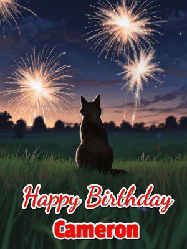 Happy Birthday Cameron GIF: An animated gif at night showing the backside of a sitting cat who watches sparkle and fireworks over a meadow. Customize name and happy birthday.
