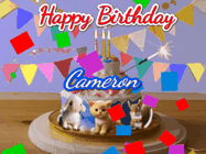 Happy Birthday Cameron GIF: Happy Birthday Cake GIF with a cat, lamb, and squirrel on the cake with flickering candles, a sparkler, and falling confetti. Reads Happy Birthday Name and you can customize the name