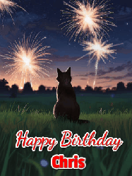 Happy Birthday Chris GIF: An animated gif at night showing the backside of a sitting cat who watches sparkle and fireworks over a meadow. Customize name and happy birthday.