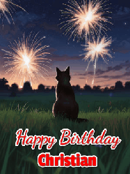 Happy Birthday Christian GIF: An animated gif at night showing the backside of a sitting cat who watches sparkle and fireworks over a meadow. Customize name and happy birthday.