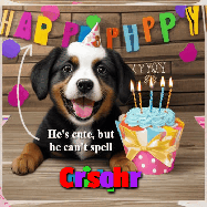Happy Birthday Christopher GIF
