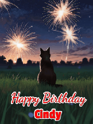 Happy Birthday Cindy GIF: An animated gif at night showing the backside of a sitting cat who watches sparkle and fireworks over a meadow. Customize name and happy birthday.