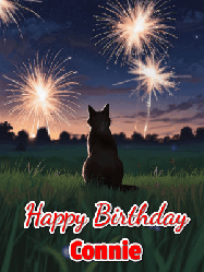 Happy Birthday Connie GIF: An animated gif at night showing the backside of a sitting cat who watches sparkle and fireworks over a meadow. Customize name and happy birthday.