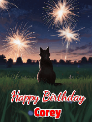 Happy Birthday Corey GIF: An animated gif at night showing the backside of a sitting cat who watches sparkle and fireworks over a meadow. Customize name and happy birthday.