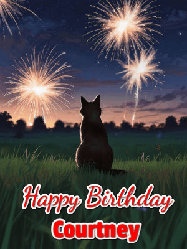 Happy Birthday Courtney GIF: An animated gif at night showing the backside of a sitting cat who watches sparkle and fireworks over a meadow. Customize name and happy birthday.