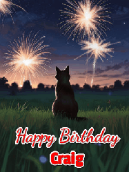 Happy Birthday Craig GIF: An animated gif at night showing the backside of a sitting cat who watches sparkle and fireworks over a meadow. Customize name and happy birthday.