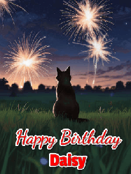 Happy Birthday Daisy GIF: An animated gif at night showing the backside of a sitting cat who watches sparkle and fireworks over a meadow. Customize name and happy birthday.