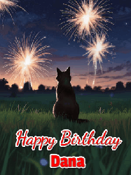 Happy Birthday Dana GIF: An animated gif at night showing the backside of a sitting cat who watches sparkle and fireworks over a meadow. Customize name and happy birthday.