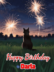 Happy Birthday Darla GIF: An animated gif at night showing the backside of a sitting cat who watches sparkle and fireworks over a meadow. Customize name and happy birthday.