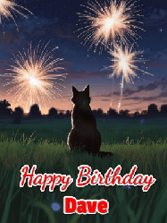 Happy Birthday Dave GIF: An animated gif at night showing the backside of a sitting cat who watches sparkle and fireworks over a meadow. Customize name and happy birthday.