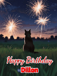 Happy Birthday Dillon GIF: An animated gif at night showing the backside of a sitting cat who watches sparkle and fireworks over a meadow. Customize name and happy birthday.