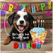 Happy Birthday Dillon GIF