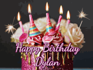 Happy Birthday Dylan GIF