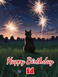 Happy Birthday Ed GIF: An animated gif at night showing the backside of a sitting cat who watches sparkle and fireworks over a meadow. Customize name and happy birthday.
