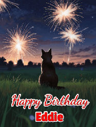 Happy Birthday Eddie GIF: An animated gif at night showing the backside of a sitting cat who watches sparkle and fireworks over a meadow. Customize name and happy birthday.