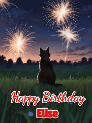 Happy Birthday Elise GIF: An animated gif at night showing the backside of a sitting cat who watches sparkle and fireworks over a meadow. Customize name and happy birthday.