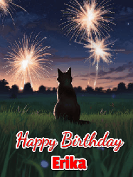 Happy Birthday Erika GIF: An animated gif at night showing the backside of a sitting cat who watches sparkle and fireworks over a meadow. Customize name and happy birthday.