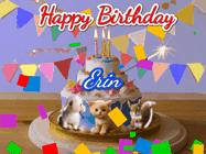 Happy Birthday Erin GIF: Happy Birthday Cake GIF with a cat, lamb, and squirrel on the cake with flickering candles, a sparkler, and falling confetti. Reads Happy Birthday Name and you can customize the name
