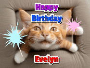 Happy Birthday Evelyn GIF