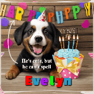 Happy Birthday Evelyn GIF