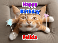 Happy Birthday Felicia GIF