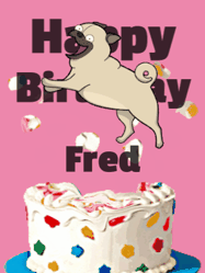 Happy Birthday Fred GIF