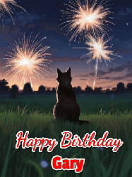Happy Birthday Gary GIF: An animated gif at night showing the backside of a sitting cat who watches sparkle and fireworks over a meadow. Customize name and happy birthday.