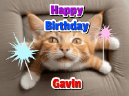 Happy Birthday Gavin GIF