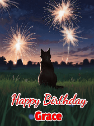 Happy Birthday Grace GIF: An animated gif at night showing the backside of a sitting cat who watches sparkle and fireworks over a meadow. Customize name and happy birthday.