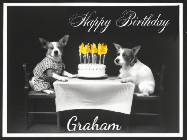 Happy Birthday Graham GIF: Vintage animated birthday card gif with name, flickering candles, birthday cake, and 2 dogs sitting at the table.