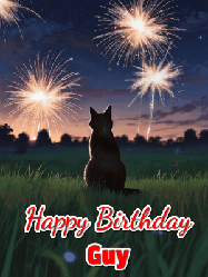 Happy Birthday Guy GIF: An animated gif at night showing the backside of a sitting cat who watches sparkle and fireworks over a meadow. Customize name and happy birthday.