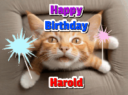 Happy Birthday Harold GIF