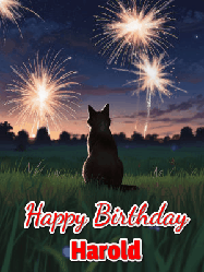 Happy Birthday Harold GIF: An animated gif at night showing the backside of a sitting cat who watches sparkle and fireworks over a meadow. Customize name and happy birthday.