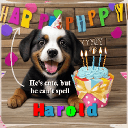 Happy Birthday Harold GIF