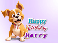 Happy Birthday Harry GIF