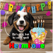 Happy Birthday Hermione GIF