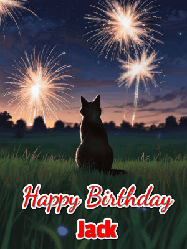 Happy Birthday Jack GIF: An animated gif at night showing the backside of a sitting cat who watches sparkle and fireworks over a meadow. Customize name and happy birthday.