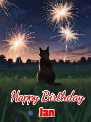 Happy Birthday Jan GIF: An animated gif at night showing the backside of a sitting cat who watches sparkle and fireworks over a meadow. Customize name and happy birthday.