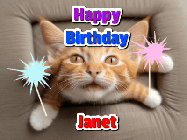 Happy Birthday Janet GIF