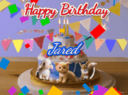 Happy Birthday Jared GIF: Happy Birthday Cake GIF with a cat, lamb, and squirrel on the cake with flickering candles, a sparkler, and falling confetti. Reads Happy Birthday Name and you can customize the name