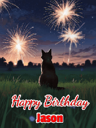 Happy Birthday Jason GIF: An animated gif at night showing the backside of a sitting cat who watches sparkle and fireworks over a meadow. Customize name and happy birthday.