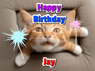 Happy Birthday Jay GIF