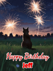 Happy Birthday Jeff GIF: An animated gif at night showing the backside of a sitting cat who watches sparkle and fireworks over a meadow. Customize name and happy birthday.