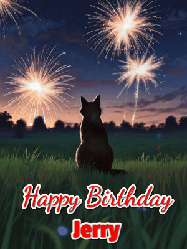 Happy Birthday Jerry GIF: An animated gif at night showing the backside of a sitting cat who watches sparkle and fireworks over a meadow. Customize name and happy birthday.