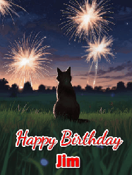 Happy Birthday Jim GIF: An animated gif at night showing the backside of a sitting cat who watches sparkle and fireworks over a meadow. Customize name and happy birthday.