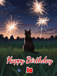 Happy Birthday Jo GIF: An animated gif at night showing the backside of a sitting cat who watches sparkle and fireworks over a meadow. Customize name and happy birthday.