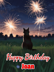 Happy Birthday Joan GIF: An animated gif at night showing the backside of a sitting cat who watches sparkle and fireworks over a meadow. Customize name and happy birthday.