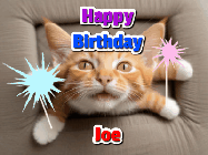 Happy Birthday Joe GIF