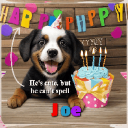 Happy Birthday Joe GIF