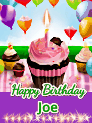 Happy Birthday Joe GIF